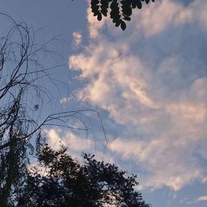 韩国人的一区二区黄带片子
